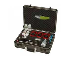 НАБОР КОНСУЛЬТАНТА