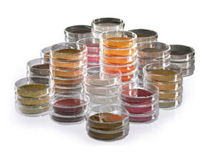 ПИТАТЕЛЬНЫЕ КАРТОННЫЕ ПОДЛОЖКИ